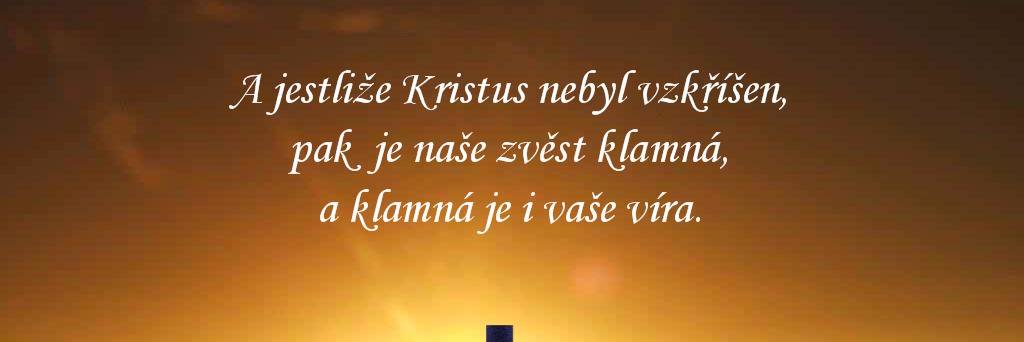 Olga Solodushko banner