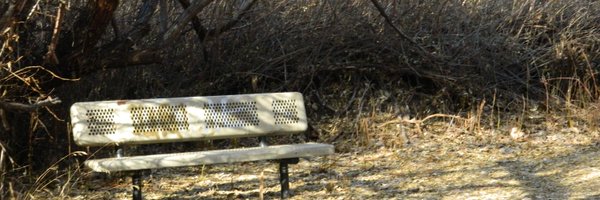 SmugNikon Profile Banner