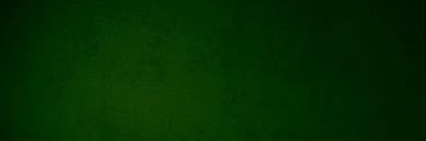 Ricardo G. Viani banner