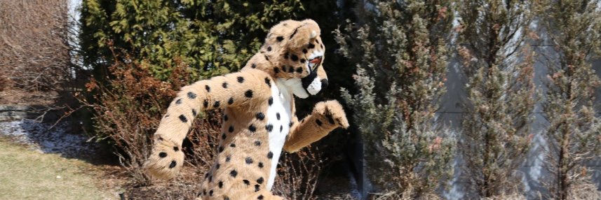 BlkSwampCheetah's profile banner image