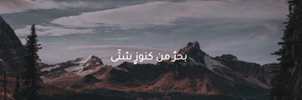 iirode0 Profile Banner