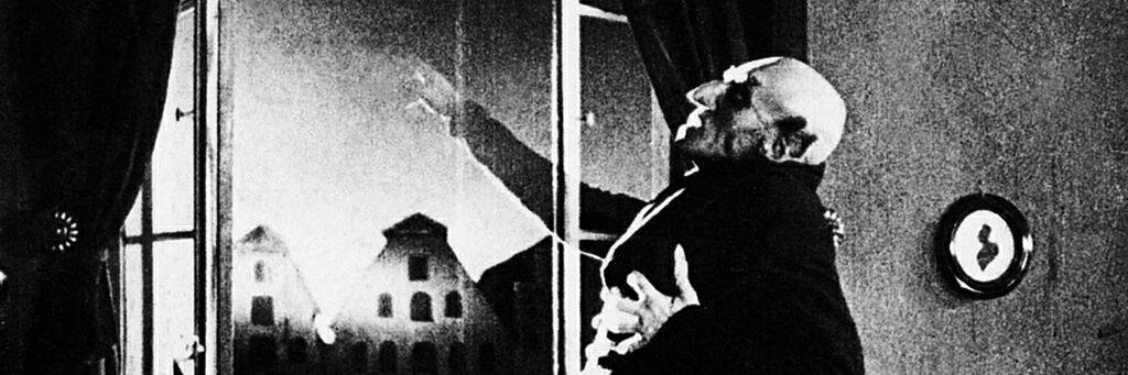 Alex Naidus banner