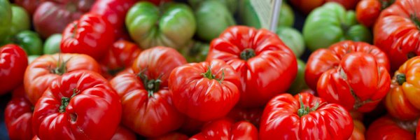 ebnosh Profile Banner