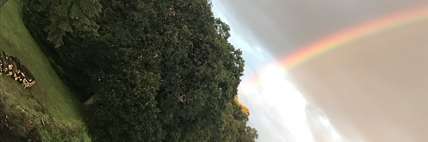 slw_81's profile banner image