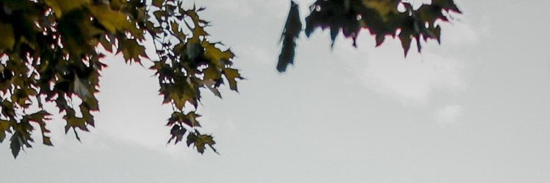 SoliManMusstafa's profile banner image