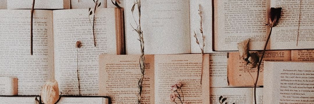 BreenChaves's profile banner image