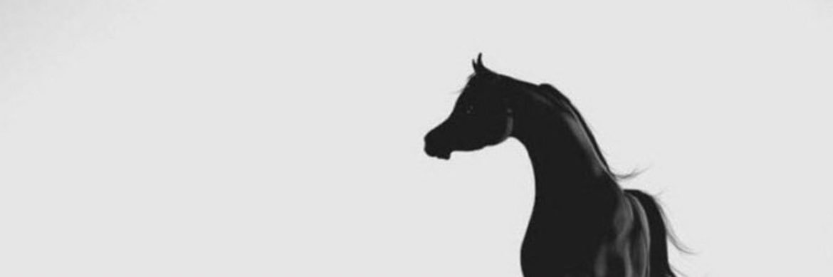elql02's profile banner image
