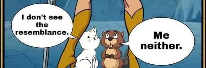 Shattered26mind's profile banner image