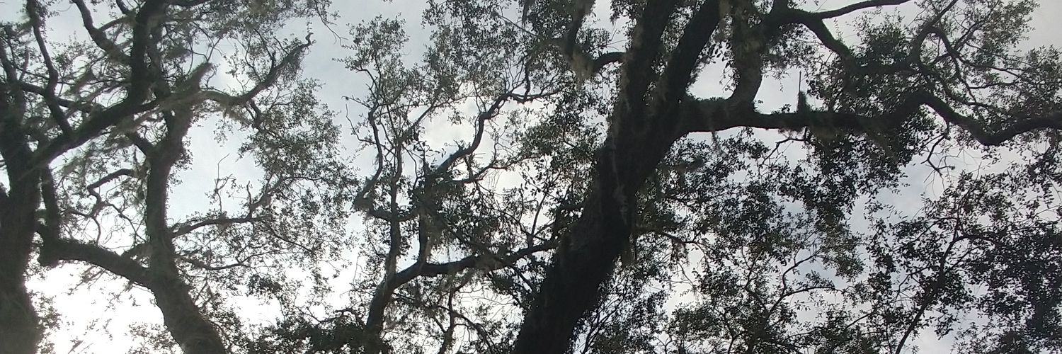tavo_23's profile banner image