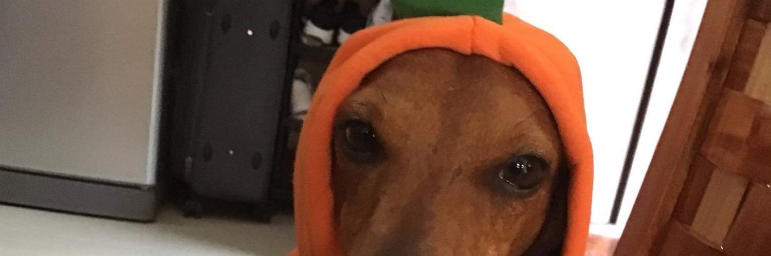 arnoldododo's profile banner image