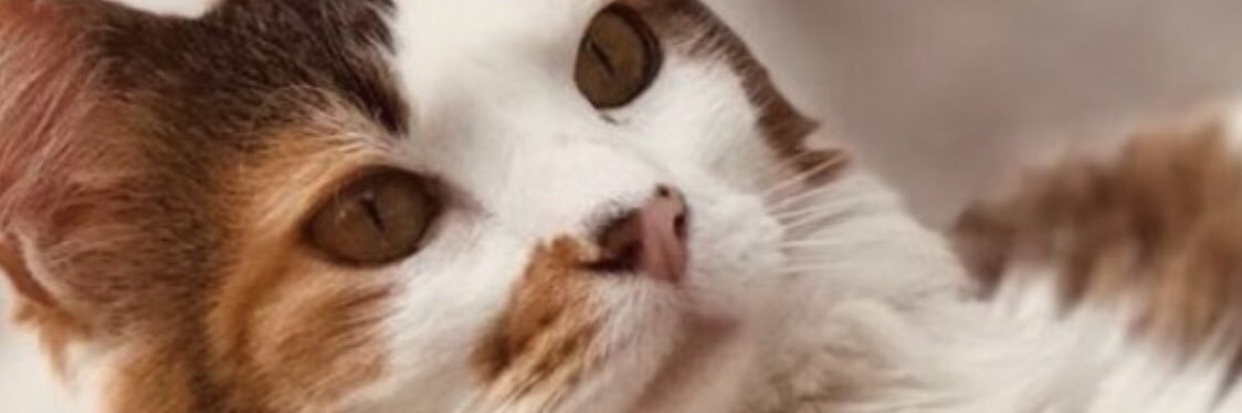 NereaBrem's profile banner image