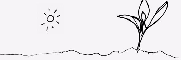 Leyre_SC's profile banner image