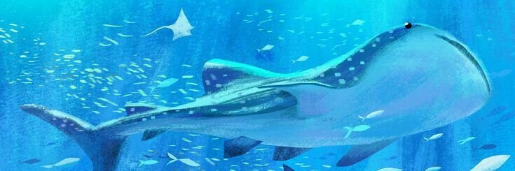 ɴᴀɴ ʟᴠꜱ ᴅʀᴇᴡ♡ banner