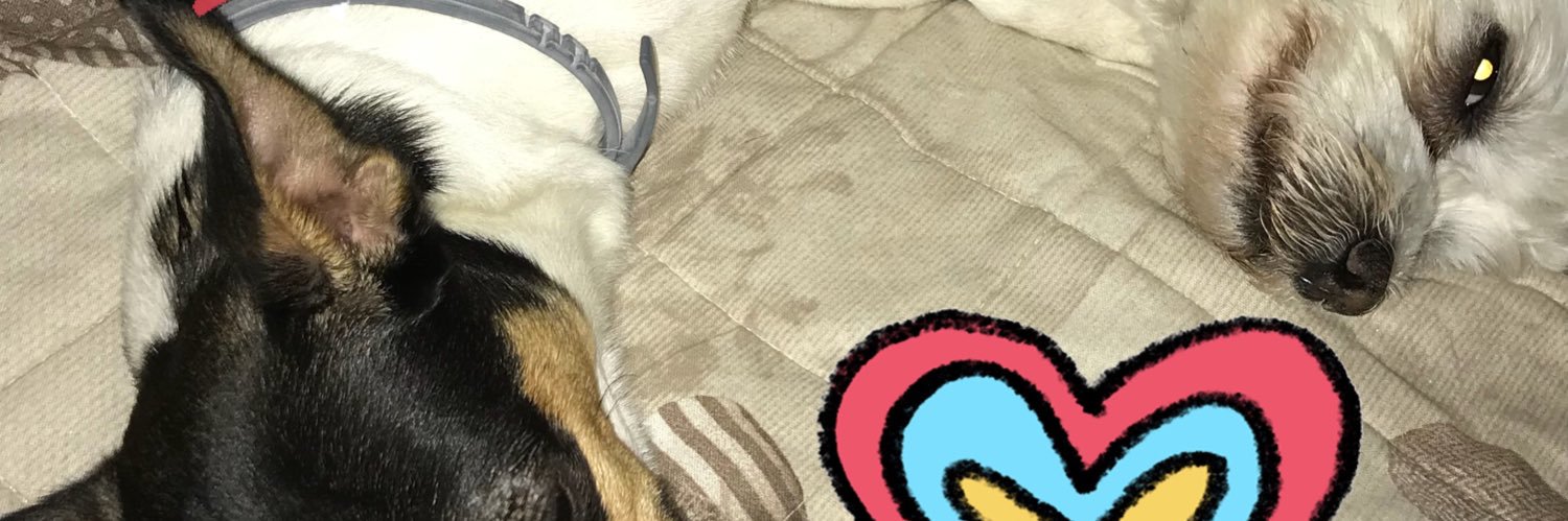 NadiaTonoli's profile banner image