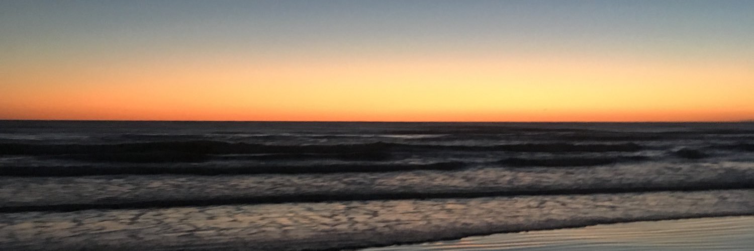 fiorehuk09's profile banner image