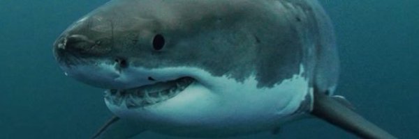 harbs16 Profile Banner