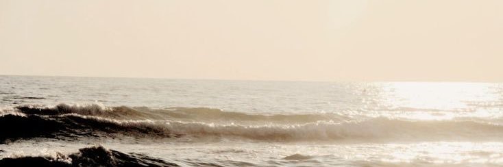 海风's banner