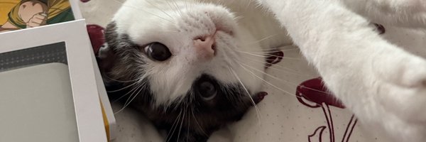 shynouh Profile Banner