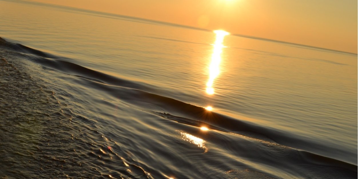 Bev Cripps FCCT banner