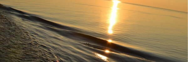 bcripps078 Profile Banner