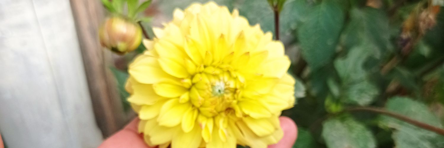 _yeseniia45879's profile banner image