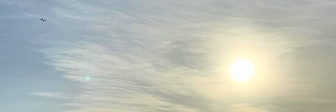 jenverquin's profile banner image