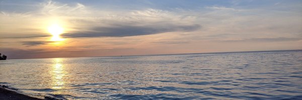 MattMurrayMD Profile Banner