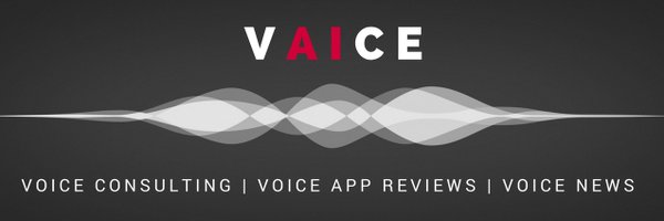 VaiceTech Profile Banner