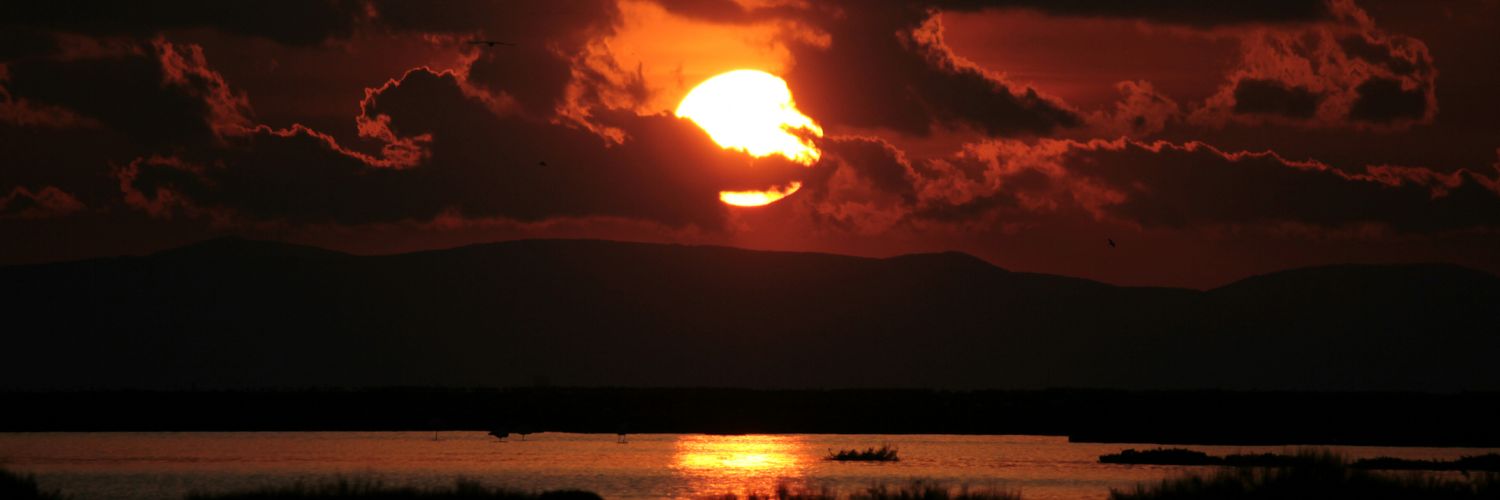 denizuslu's profile banner image