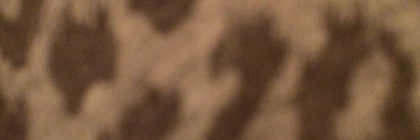 malinschwartz's profile banner image
