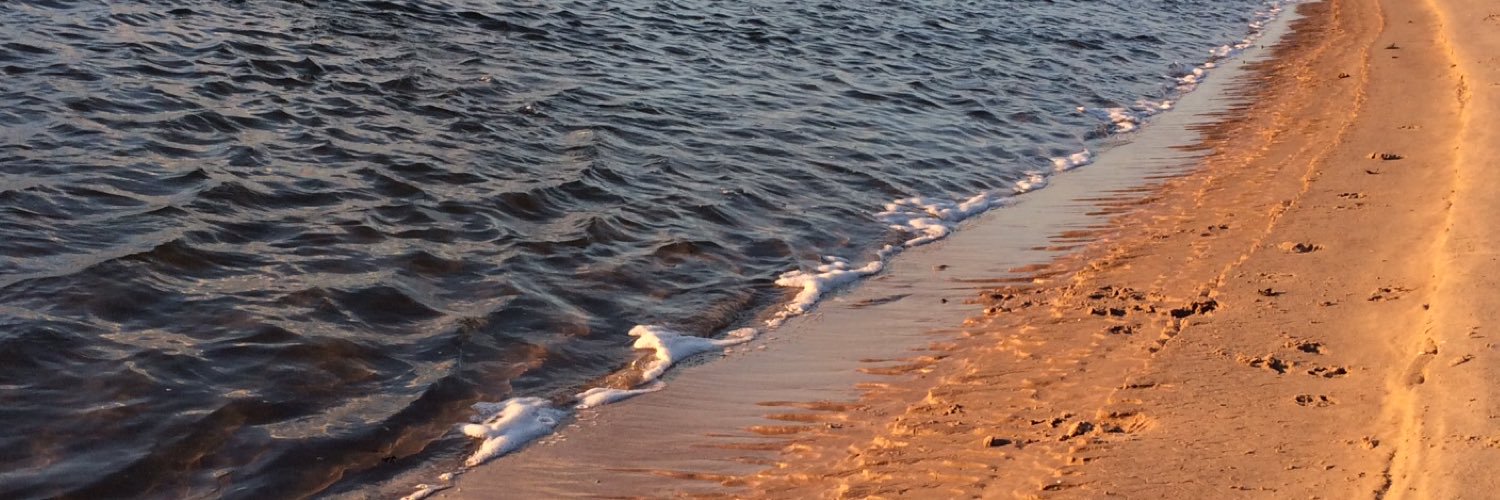 andylevitt1's profile banner image