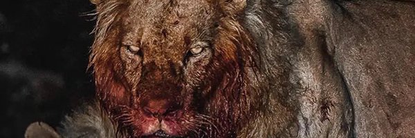 IsaiahKing05 Profile Banner