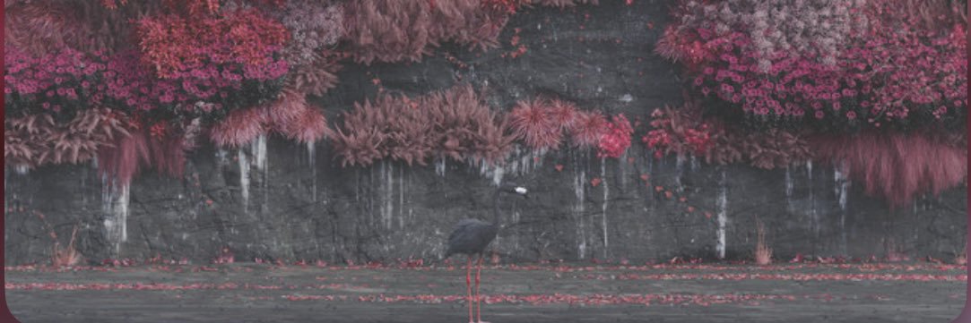yaboistee's profile banner image