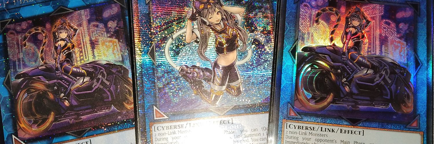 Gevra banner