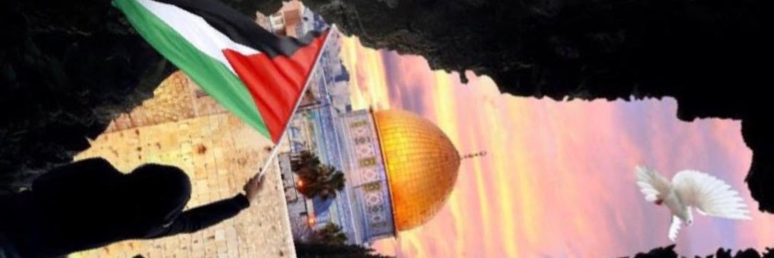 Alshibli85's profile banner image