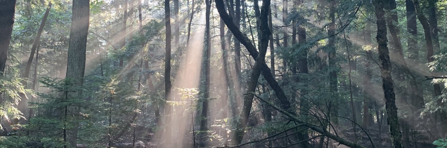 Jameselwould's profile banner image