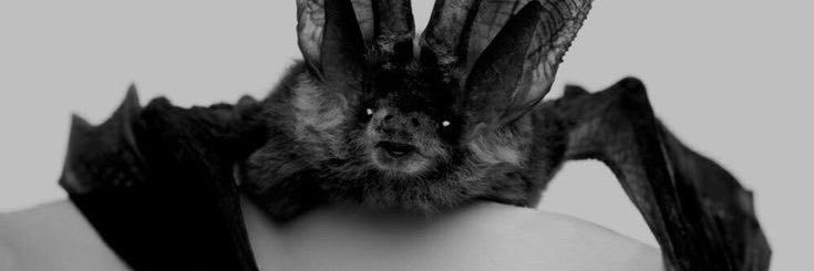 Yennefer de Transylvania banner