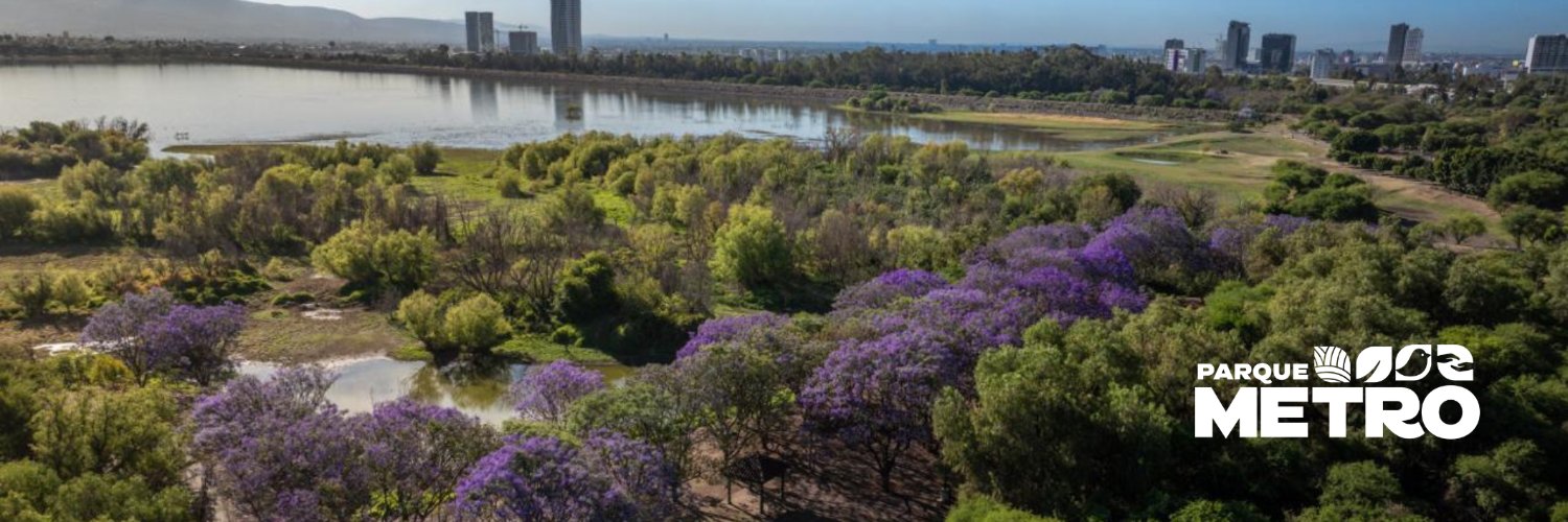 parkmetroleon's profile banner image