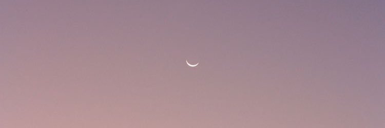 兔子 banner
