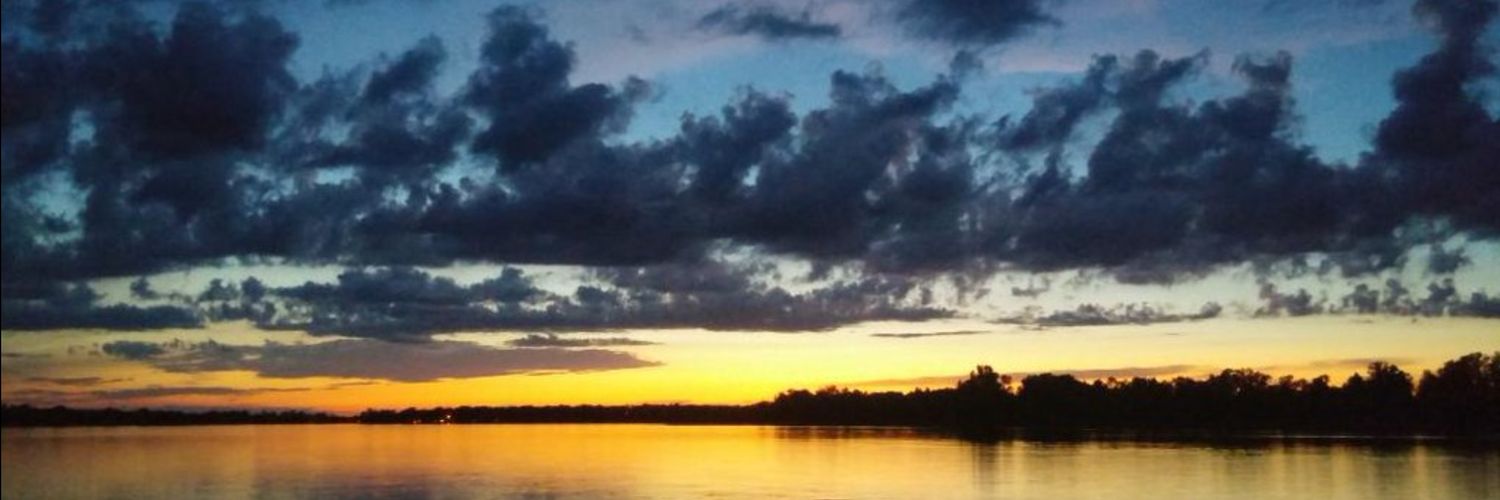 Randy Hermanson banner