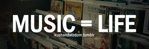 RoccoUntamed's profile banner image