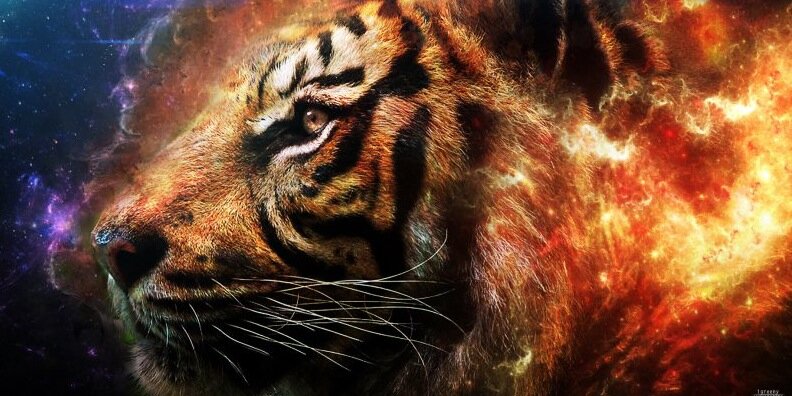 conormooner's profile banner image