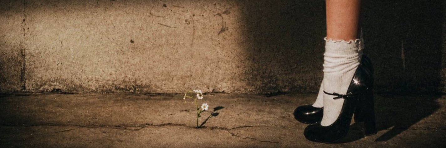 celicidad's profile banner image