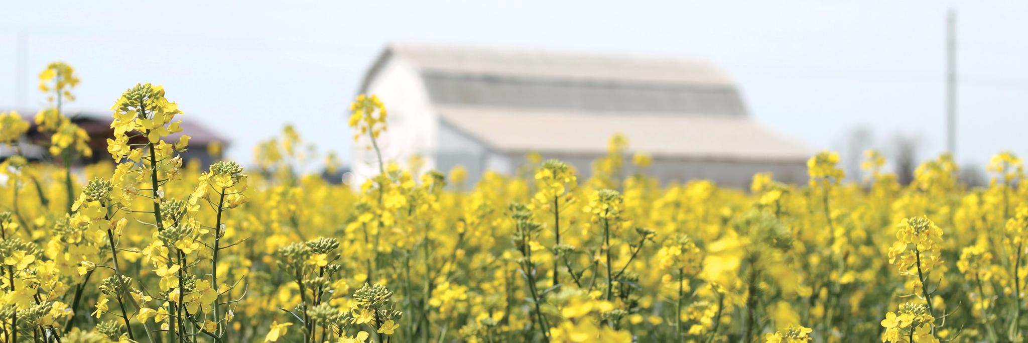 Farm Talk Newspaper's banner