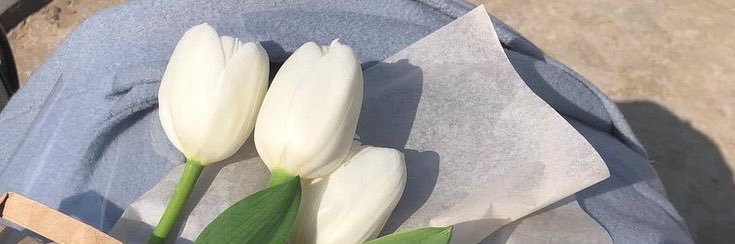 jbculiao's profile banner image