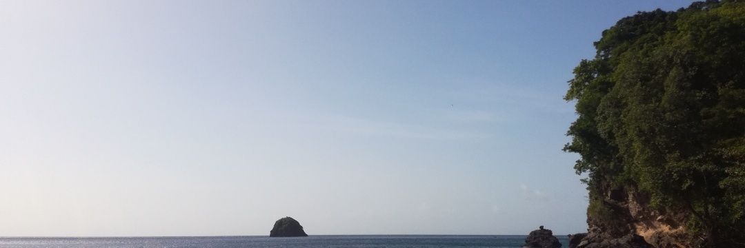 100 scrupules banner