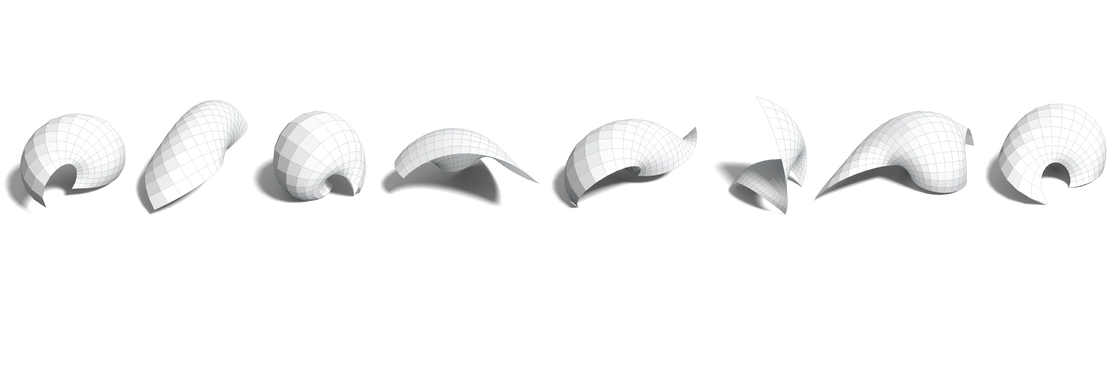 Sofien Bouaziz banner