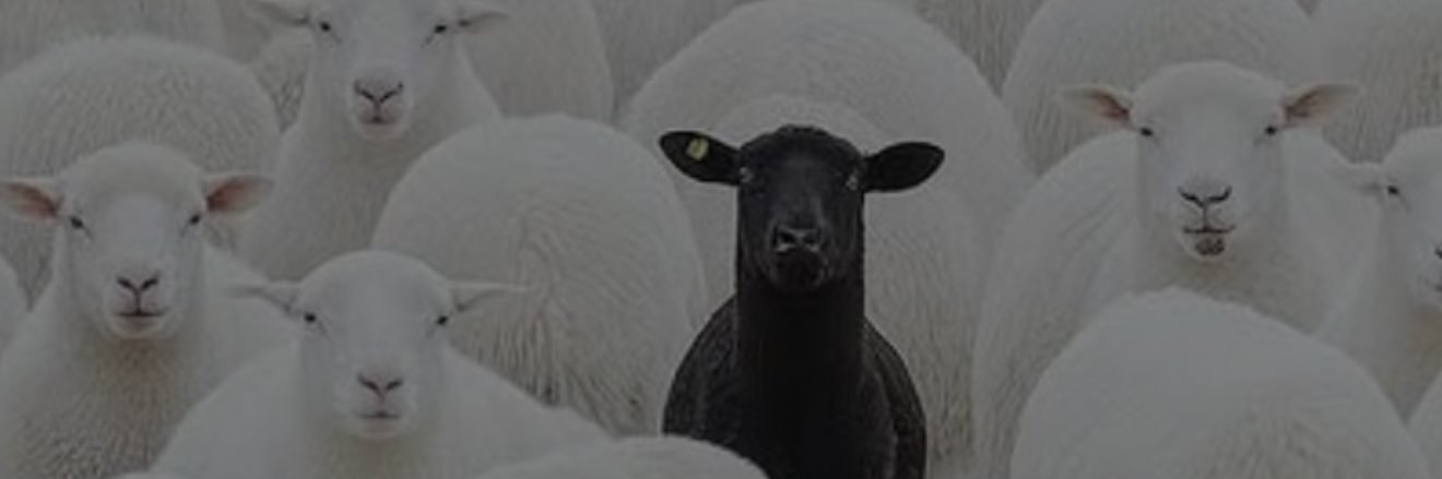 BMBlammer's profile banner image