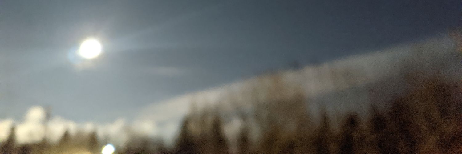 Nature, solitude and peace. banner