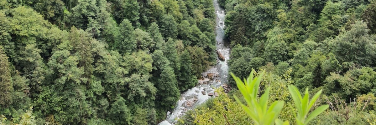 drismailmert's profile banner image